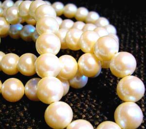 Pearl Farming: Business Plan And Guide For Beginners