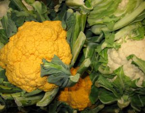 Cauliflower Farming