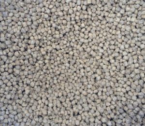 Best Fish Feed For Better Growth & Health of Fish