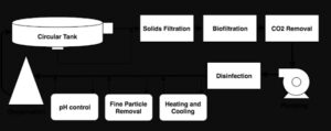 RAS Fish Farming: Recirculating Aquaculture System